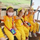 산새목장 이미지