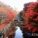 성주면 주민자치센터 이미지