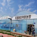 두물머리커피농장