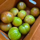 윤슬농장 이미지