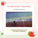 화이트샌드 | 가면 좋은 곳] 거제도 엄빠의 부산 실내 데이트! '아뜰리에정원' 화이트 샌드비치 협찬 솔직 후기 🐳✨