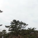 암소고개로 이미지