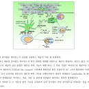 영남대학교 임상약학대학원 이미지