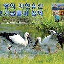 예산-24 이미지