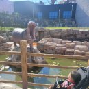 초양도주차장 이미지