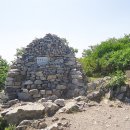 신사드림약국 이미지