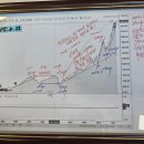 화이자 [PFE] 2025년 2분기 실적발표 이미지