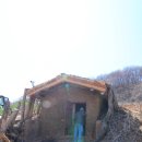 야생초마을아미골 이미지