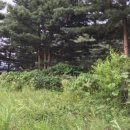 치악환경