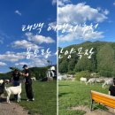 채은목장 이미지