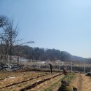 사곡농약사