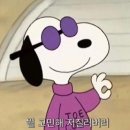 제이의선택