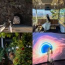 우주태권도 | 만한곳 4 라제통문 태권도원 반디랜드 천문과학관 크리스마스 카페 무심원 (디지털 관광 주민증 할인 후기)