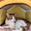 김태순농장 이미지