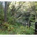 고병계곡 이미지