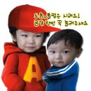 파파월드 | 제주도키즈카페 파파월드 도내 최대 실내놀이터가 생겼네요~