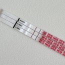 초경추어탕 | 임신 4주차 5주차 6주차 초음파에서 아기집, 난황을 확인하다!