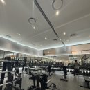 비전골프 이미지