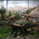 덕소자연사박물관 이미지