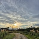 대송 재가복지센터 | 방문요양 첫 평가 후 소감...