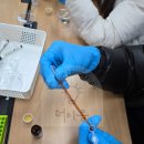 이음중학교 앞 횡단보도 | [더이음교육_진로체험] 제약공학자_울산 고헌중학교_251205