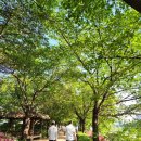 광명한증막 | 치맥런 광명육상연맹회장배 건강달리기 대회 10KM 참가 후기