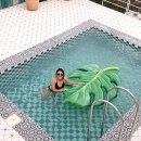 블랑제이드 이미지