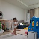 달봉이목장 | 14개월아기 첫 아이스크림 먹은날 :)