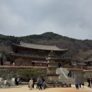 (주)석경 | [구례/ 화엄사] 지리산 3대사찰, 화엄사 방문후기(26.3.15)와 홍매화 실시간 개화 현황 확인법