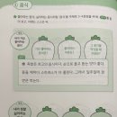 생각대로, 말하는 대로 글쓰기 이미지