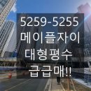 윤지영부동산중개 이미지
