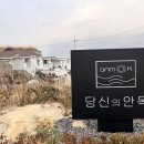 당신의안목 브리에 이미지