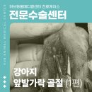 마석동물병원 이미지