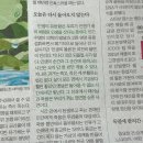오월 한 줌