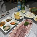 포항수협송도활어회센터 | 포항수협 송도활어회센터 대방어 맛집 내돈내산 후기