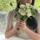 천안웨딩스튜디오, 천안무하스튜디오 태이정원 플라워디렉팅 후기
