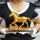 [옥정]돈이 들어오는 인테리어(생활풍수) | 해바라기그림 비교하며 찾아낸 일상의 금빛 변화 후기