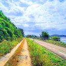 낙동강자전거길 이미지