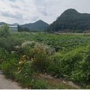 논산농협주유소 이미지