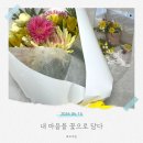 꽃;마음담다 | 내 마음을 꽃으로 담다 ㅣ플립플라워 정기구독 후기
