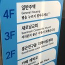 레파로 | [용인 서천동] 공부하기 좋은 영통 디저트 카페, 카페레파로