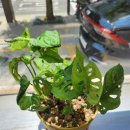 햇살나무한의원 이미지