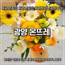 온뜨레 | 광양 꽃집 온뜨레 어버이날 꽃바구니 추천, 감성 가득한 꽃선물 후기