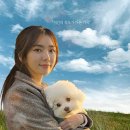 해피해피 - 의정부시 범골로157번길 7-7 | 해피해피