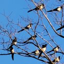 들길봄동 이미지