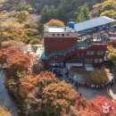 내장산라온스테이 이미지