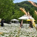 북천생태공원 이미지