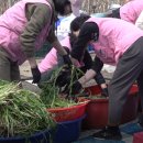 진보문화체육센터 체육관 이미지