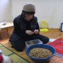 쭈아리 Daum카페