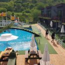 가평가보자독채애견풀빌라수영장 이미지